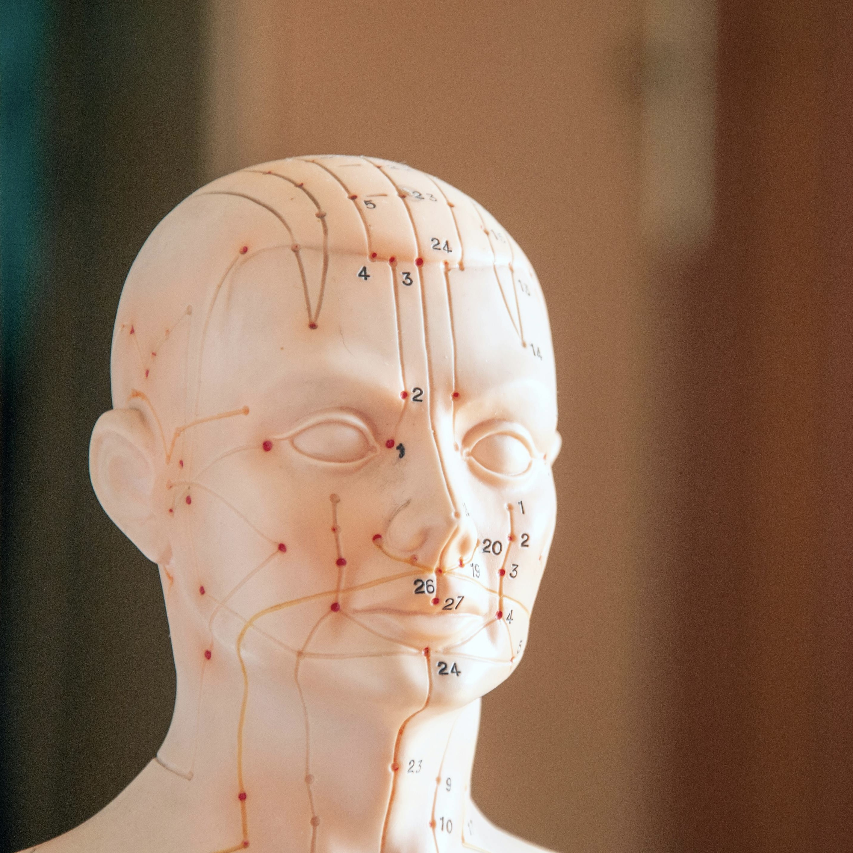 Unlocking Healing: How Emotional Freedom Technique (EFT) Can Enhance Physical Therapy